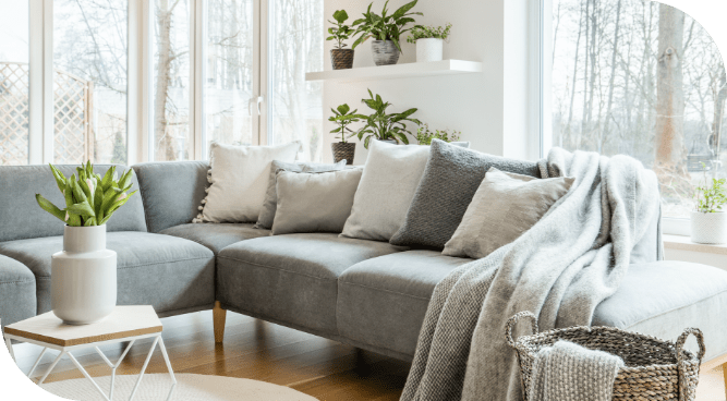 Home Organization